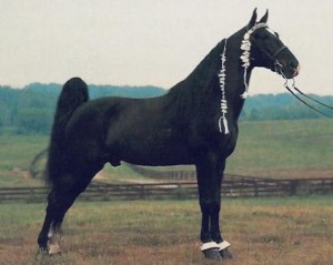 Obrázok